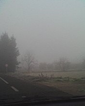 Winter in Lleida